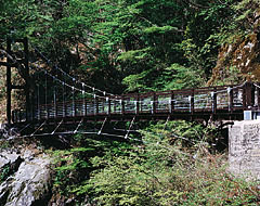 奈良県天川村　ミタライ峡吊橋